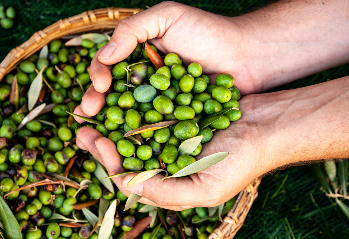 Why the Good Olive Oil Goes in Our Conditioner